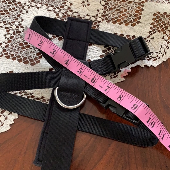ASPEN PET Canine Seat Belt for SMALL dogs … - Picture 10 of 13
